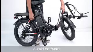 A new GEMINI electric bike with 20\