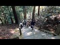 【pcx１５０で行く】関西紅葉ツーリング　第１１弾　室生湖～室生寺～屏風岩公苑～香落渓～青蓮寺湖～針テラスまで