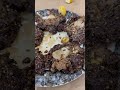 Peshawari Chapli Kabab Umar Kabab