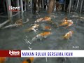 MENIKMATI RUJAK BERSAMA IKAN KOI - INEWS PEKANBARU 08/06