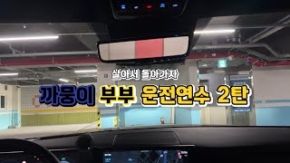 [Vlog] 제2화 싼타페Mx5 l 까뭉이 l 부부운전연수2탄 l 초보운전