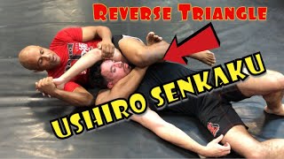 John Danaher USHIRO SENKAKU!!