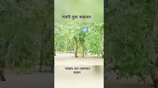 আল্লাহ যেন সবাইকে হেফাজত করে #বন্যা #বন্যা২০২৪ #youtubeshorts #viralvideo #sad #sorts #viralvideo