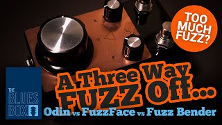 Ep25 - 3 Way Fuzz-Off - Are They Really Much Different?