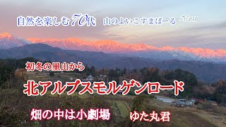 初冬の里山から北アルプスモルゲンロード　畑の中は小劇場　ゆたマル君