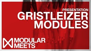 Gristleizer Modules presented by Future Sound Systems & Roy Gwinn // Modular Meets Leeds 2017