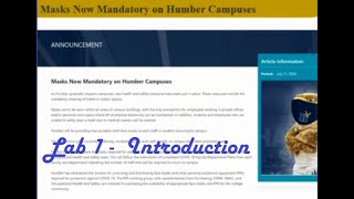 Lab 1 Online