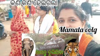 ଆସ ବୁଲିଯିବା, କଣ କଣ ହେଇଗଲା, mamata volg#ଜୟ ଜଗନ୍ନାଥ