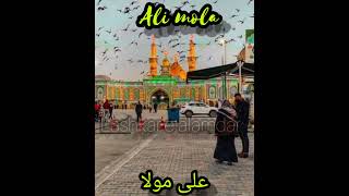 Ali mola || best qawwali || sultan ul qadria