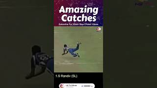 Who is the Best ? 🤯🔥 | AMAZING Catches ! #cricket #icc #indiacricket