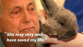 Animal Rescue helps man overwhelmed by 100+ beloved rabbits