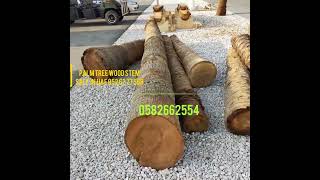 Palm tree Wood for decor 0582662554