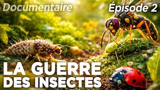 La guerre des insectes : Le secret des potagers sans pesticides (Épisode 2) - Documentaire
