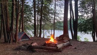 Hiking the Loyalsock Trail and Link Trail Loop.