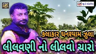 lilvani no lilvo charo ||GHANSHYAM ZULA || લીલવણી નો લીલવો ચારો.....?