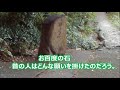 ぶらり散歩３　和歌山市　弁財天社～岡公園　 i took a walk in wakayama. no.3. benzaitensya ~ oka park.