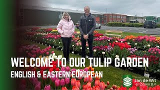 WELCOME TO OUR TULIP GARDEN