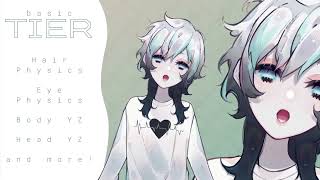 Basic Tier «Vtuber Rigging Example»