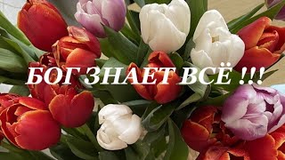 🙏🪗«Бог знает всё.»  Новая Христианская песня. Brat Bruder.