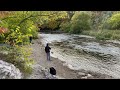 fishing for salmon at erindale park