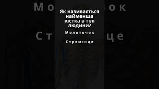 Загадка з варіантами відповідей. Тест. Вікторина. Цікаво знати. Факти...