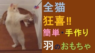 猫 手作り羽のおもちゃに狂喜！運動不足解消、ストレス発散に。