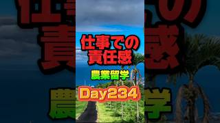 #youtubeshorts #農業 #留学 #留学日記 #vlog #ハワイ #ハワイライフ #ハワイ島 #剪定