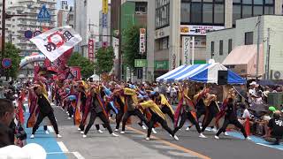 朝霞鳴子一族め組＠2018　浦和よさこい