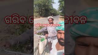 ଗରିବ ଲୋକଙ୍କ ଜୀବନ ଧାରା #viralvideo #trendingvideo