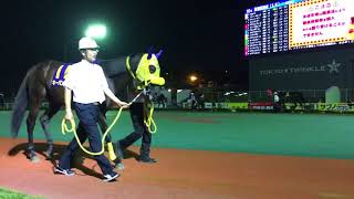 2016.817 大井🐎10R 第50回 黒潮盃 パドック