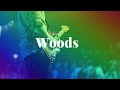 [No Copyright Music] Woods - Acoustic Folk