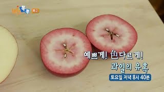 비즈톡톡 - 예쁘게! 색다르게! 과일의 유혹