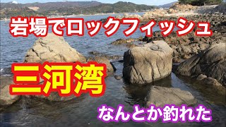 岩場でロックフィッシュ 根魚釣り 三河湾