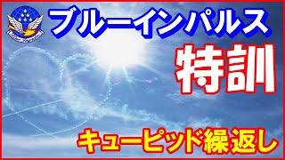 ブルーインパルス繰返し訓練【キューピッド特訓】2nd 松島基地 2024.1.11