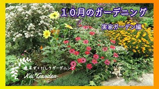 10月のガーデニング/実家の庭に咲く花/10月の花/珪酸塩白土/苗植え付け