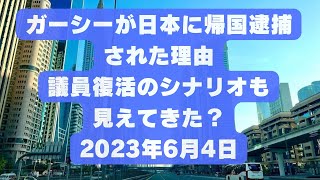 ガーシーが日本に帰国逮捕された理由   議員復活のシナリオも見えてきた？   2023年6月4日