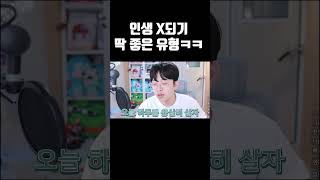 인생 X되기 딱 좋은 유형