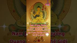 Quy Y Chu Táp Trang Nghiêm Công Đức Phật Diệt Tội Vui Với Ác Nghiệp  - Sám Hối  35 Vị Phật