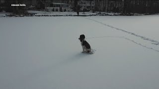 Puppy stuck on frozen NJ lake for hours brought home to safety with help of drone