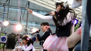 虹コン  2015  in 東大五月祭