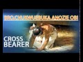 Evangelist Chukwuebuka Anozie Obi Cross Bearer   Latest 2015 Nigerian Gospel Music