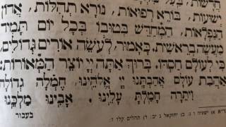 Tefilah 23 Ha'mechadesh Be'tuvo - Prayer - Sharchris - תפילה 23 המחדש בטובו – שחרית