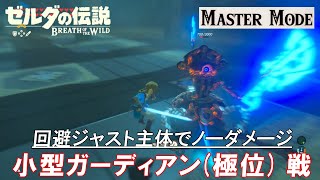 【ゼルダの伝説 ブレス オブ ザ ワイルド】【マスターモード】小型ガーディアン(極位) (回避ジャスト主体でノーダメージ攻略)  ※ 連続盾パリィ(ガードジャスト)あり