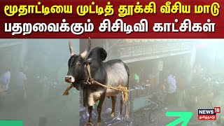 Madurai Bull Attack | மூதாட்டியை முட்டித் தூக்கி வீசிய மாடு - பதறவைக்கும் சிசிடிவி காட்சிகள்