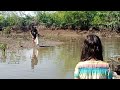 Oyster picking at mangroves in San Juan binalbagan.