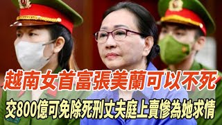 越南女首富張美蘭可以不死？交800億可免除死刑，丈夫庭上賣慘為她求情！#張美蘭#越南女首富#李嘉誠#環球快快看