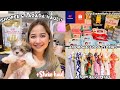 AFFORDABLE DOG CLOTHES AND DOG ESSENTIALS (Shopee, Lazada & Shein Haul)