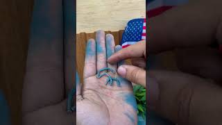 The Electrode Trick Nobody Expected Smarttrick Geniusidea Woodworking Diyhack Creativesolution