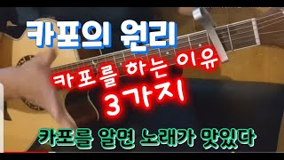 카포는 딱 이것 때문에 쓰는 거다..!
