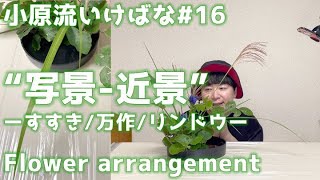 【いけばな#16 】小原流いけばな「写景盛花自然本位-近景」すすきと万作とリンドウだよ！ 【flower arrangement】